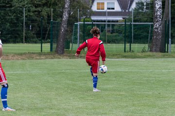 Bild 3 - wBJ Hamburger SV : SV Henstedt Ulzburg : Ergebnis: 4:2